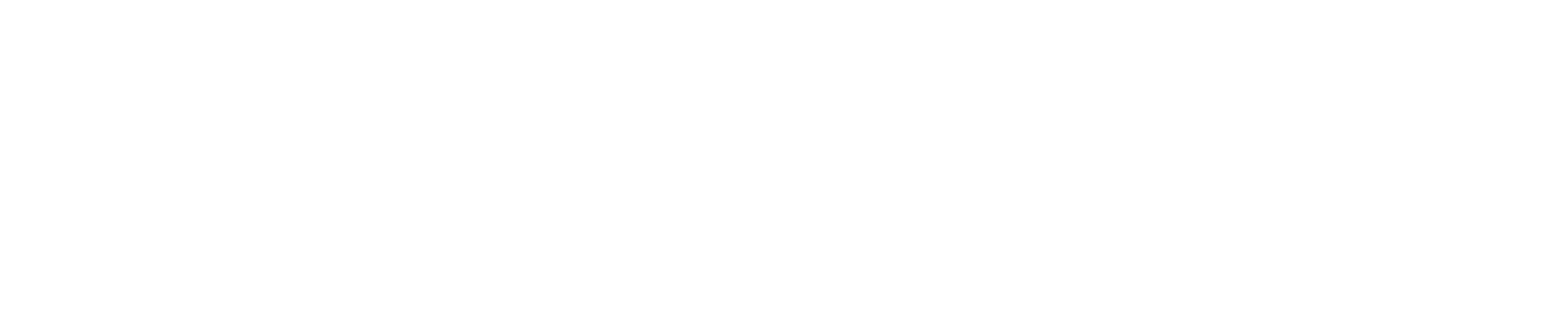 Dr. Berger Ziviltechniker Logo weiß_transparent